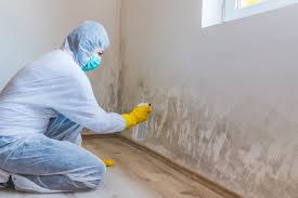 Why You Should Choose Our Mold Remediation Services in Needles, CA